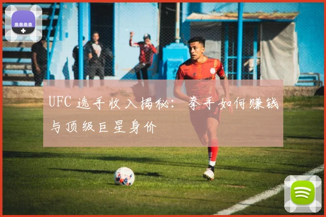 UFC 选手收入揭秘:拳手如何赚钱与顶级巨星身价