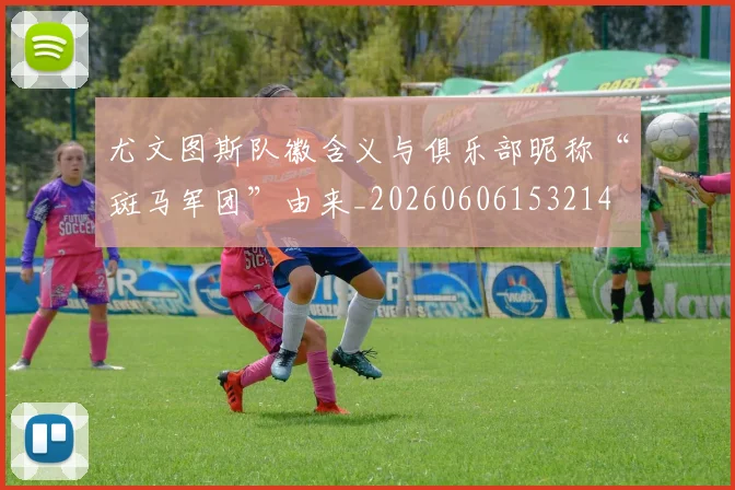 尤文图斯队徽含义与俱乐部昵称“斑马军团”由来_20260606153214